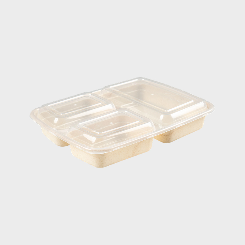 Hộp cơm Bento 3 ngăn PFK004/PFK003